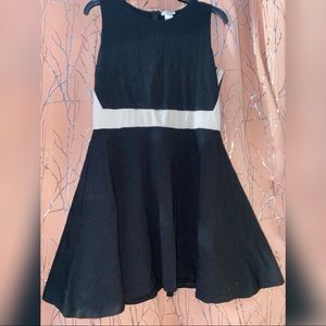 Bar III Skater Dress
